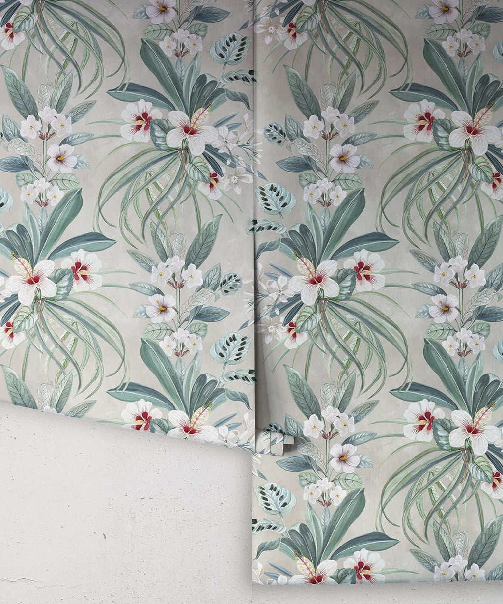 Hibiscus at Double Bay Wallpaper, Whitewash