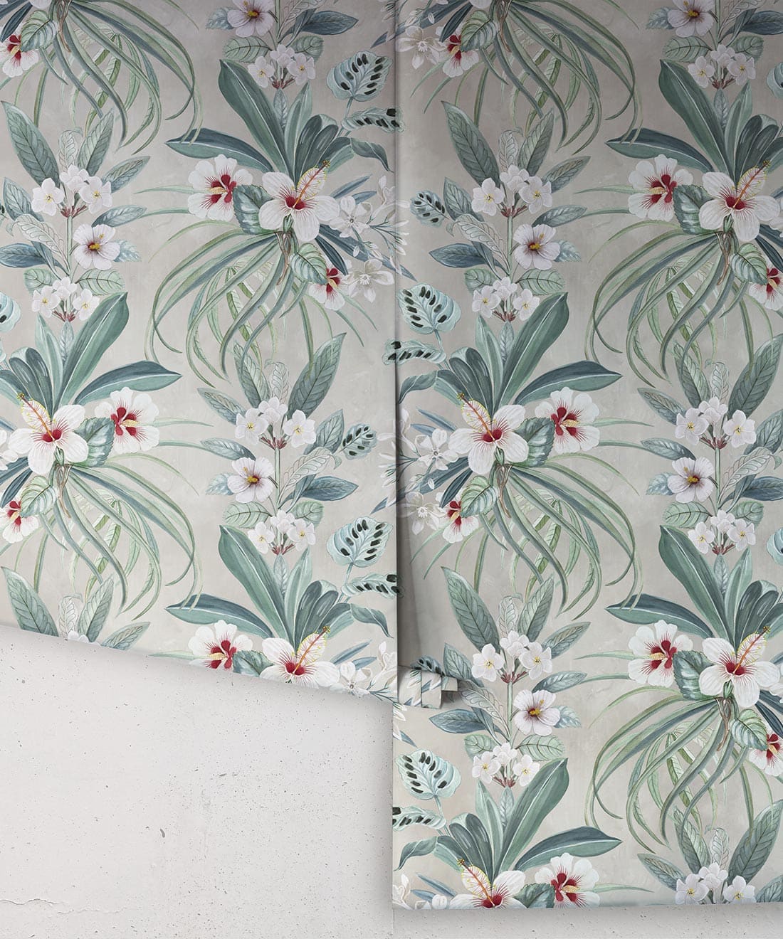 Hibiscus at Double Bay Wallpaper, Whitewash