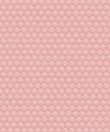 Shell Cove Wallpaper, Petal Pink
