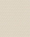 Shell Cove Wallpaper, Shell