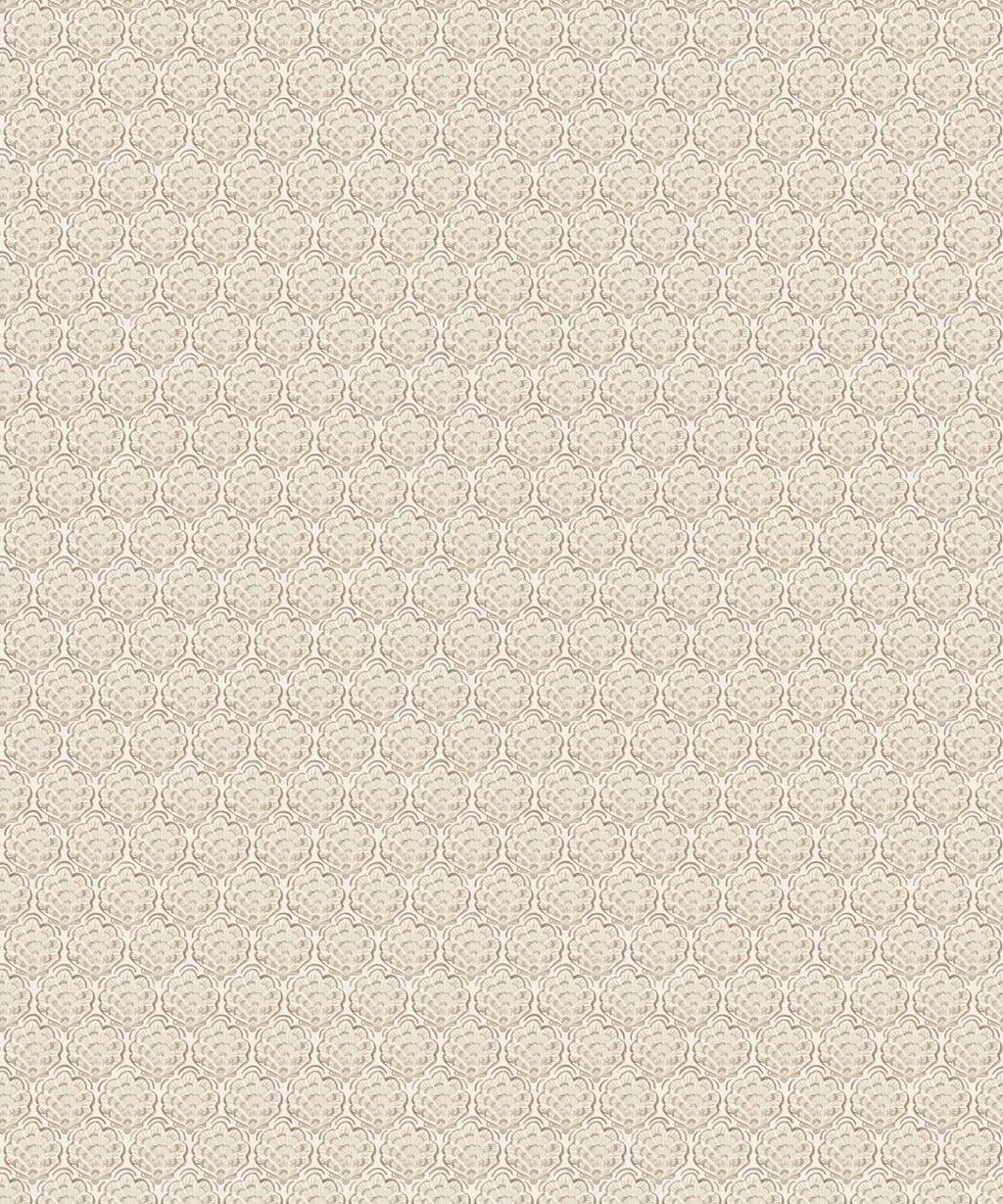 Shell Cove Wallpaper, Shell