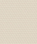 Shell Cove Wallpaper, Shell