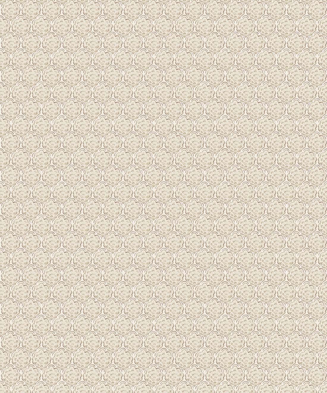 Shell Cove Wallpaper, Shell