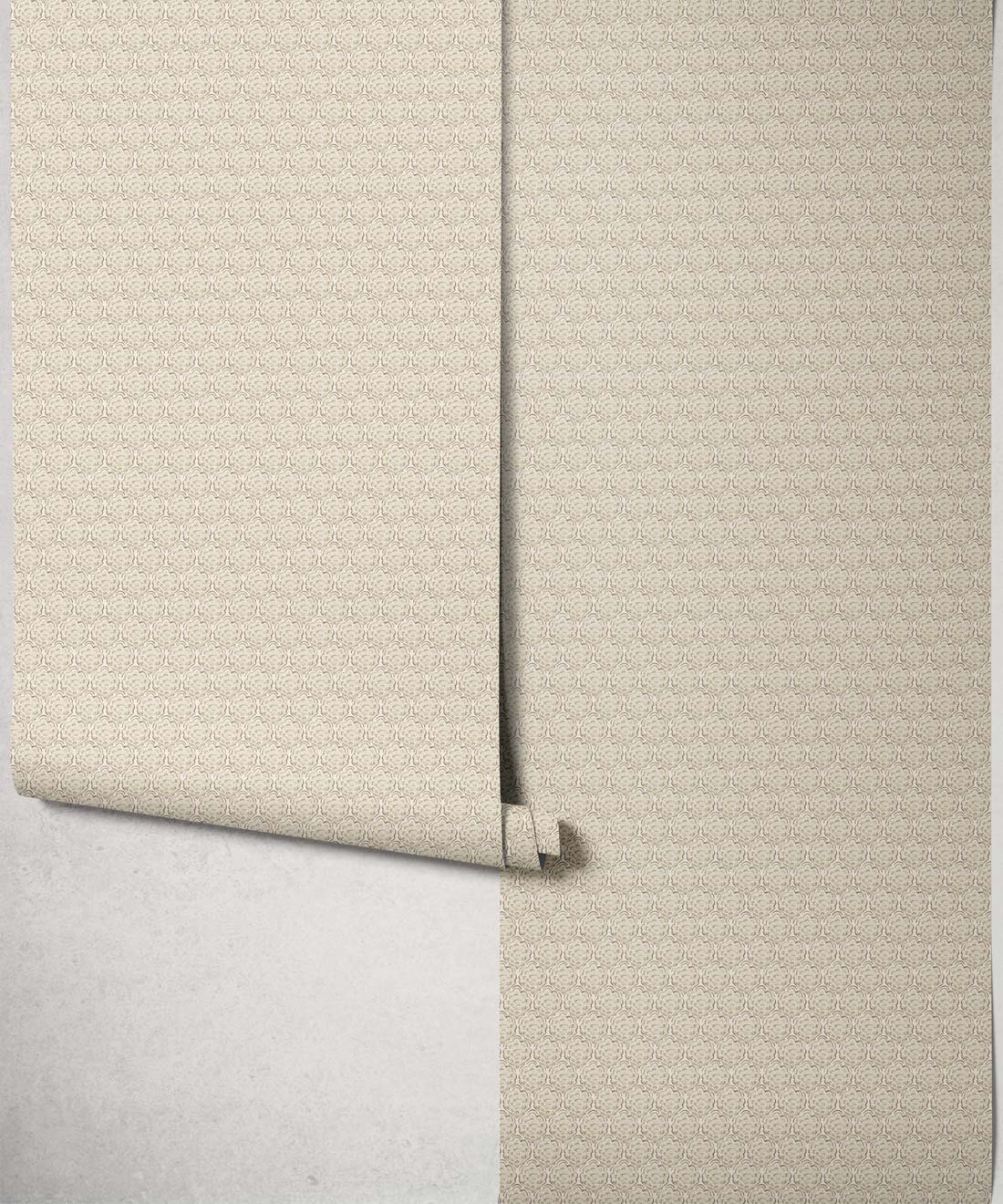 Shell Cove Wallpaper, Shell