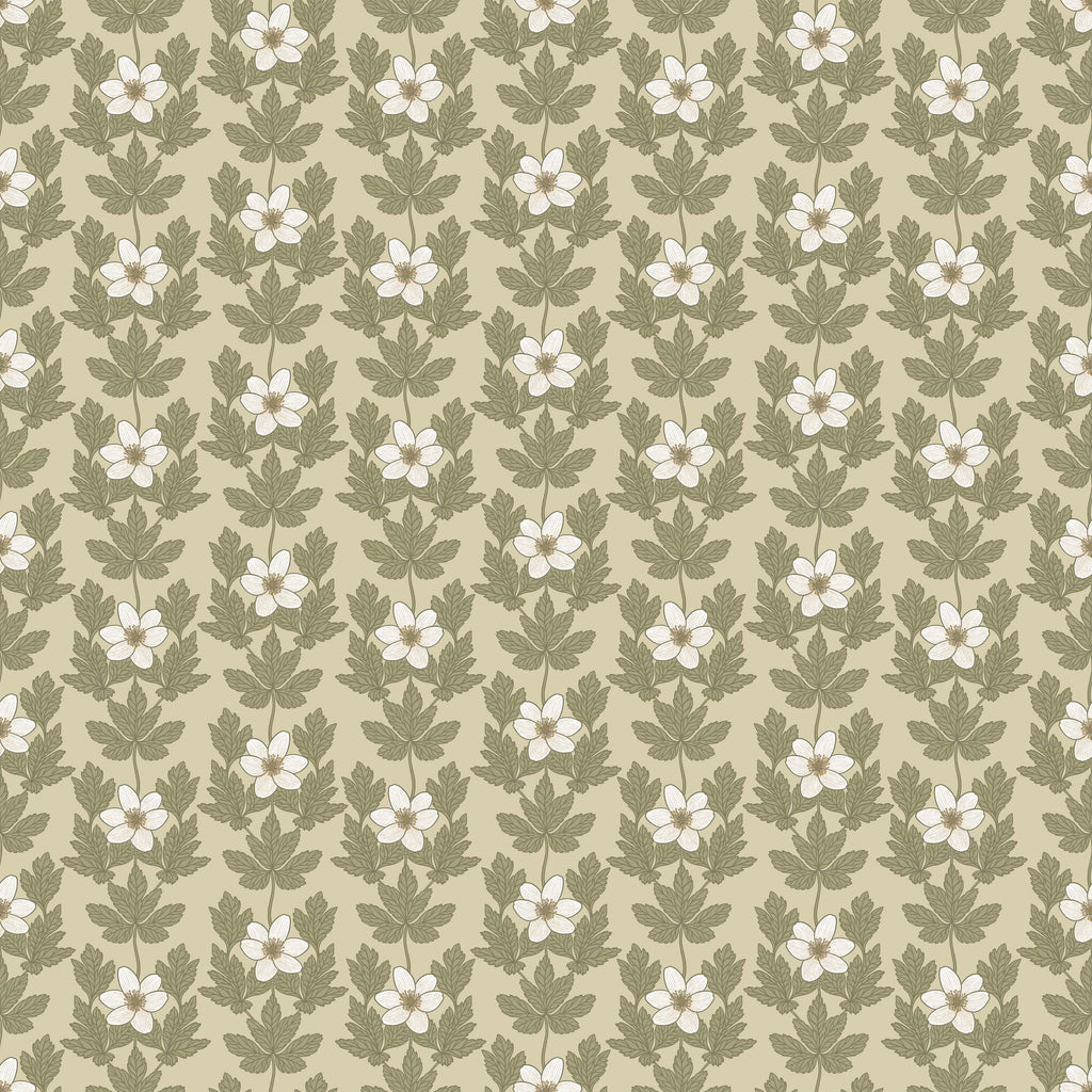 Wood Anemone - Beige