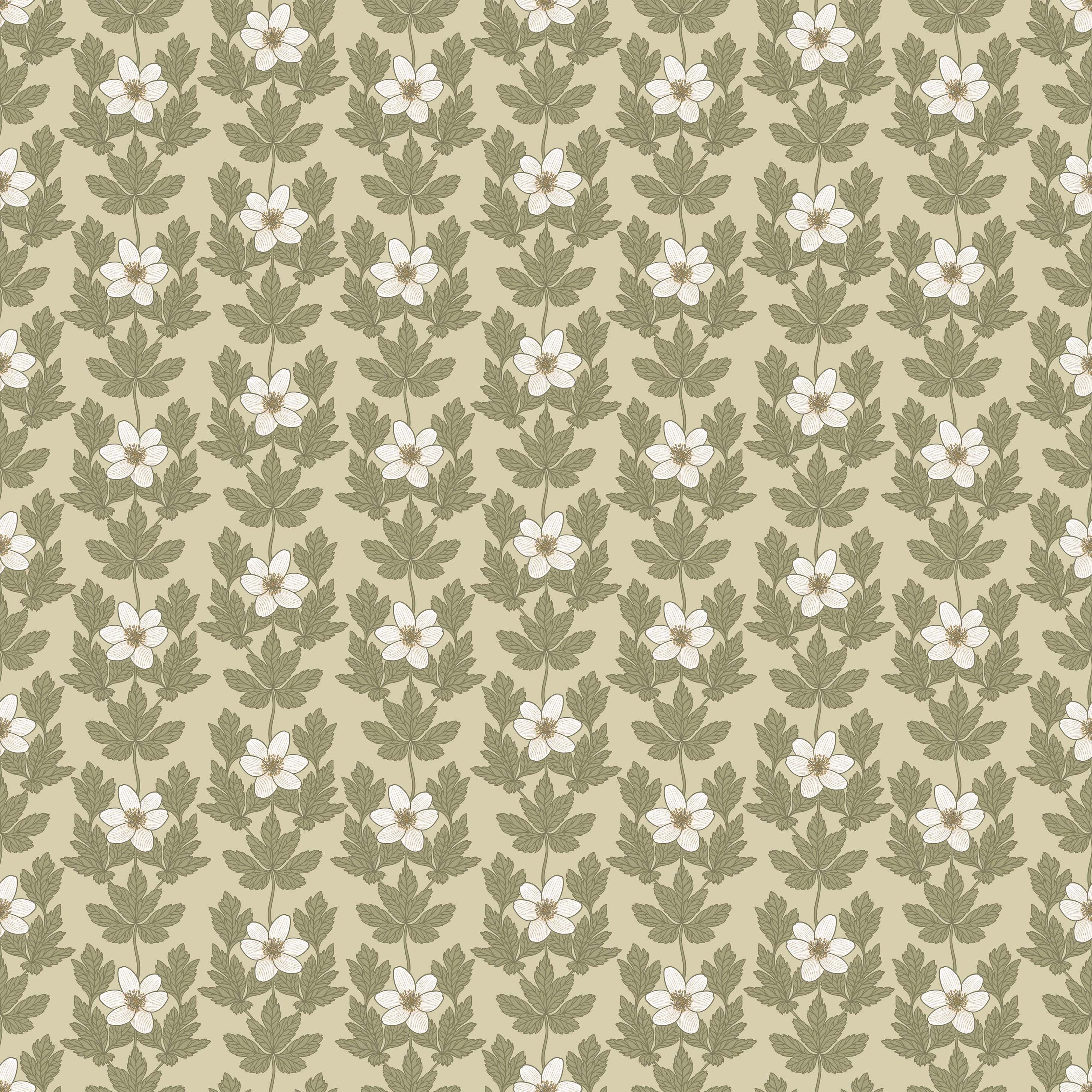 Wood Anemone - Beige