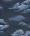 Heavenly Decorative Textile Wallpaper, Night