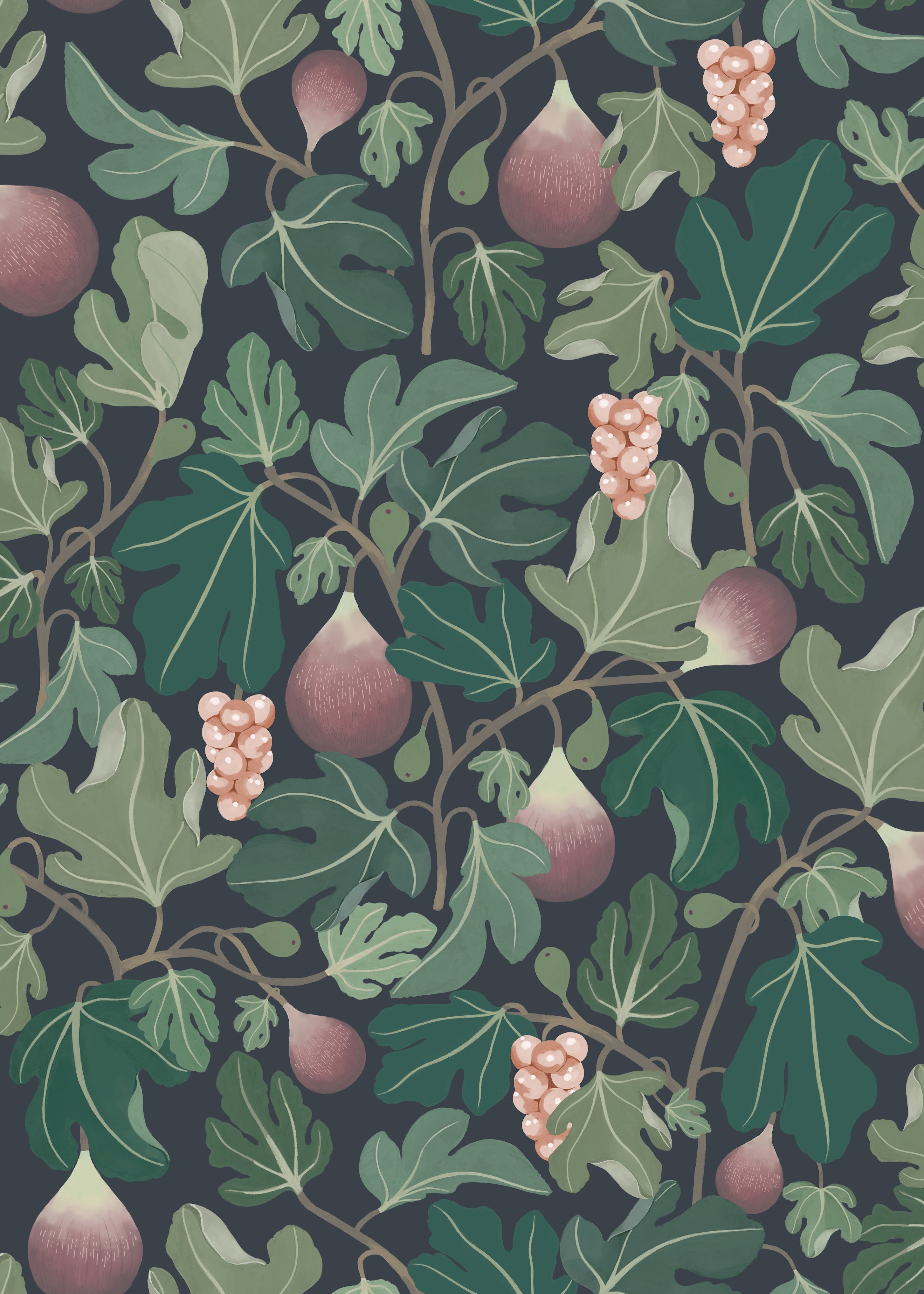 Figs - Wine Red