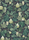 Figs - Green