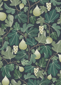 Figs - Green