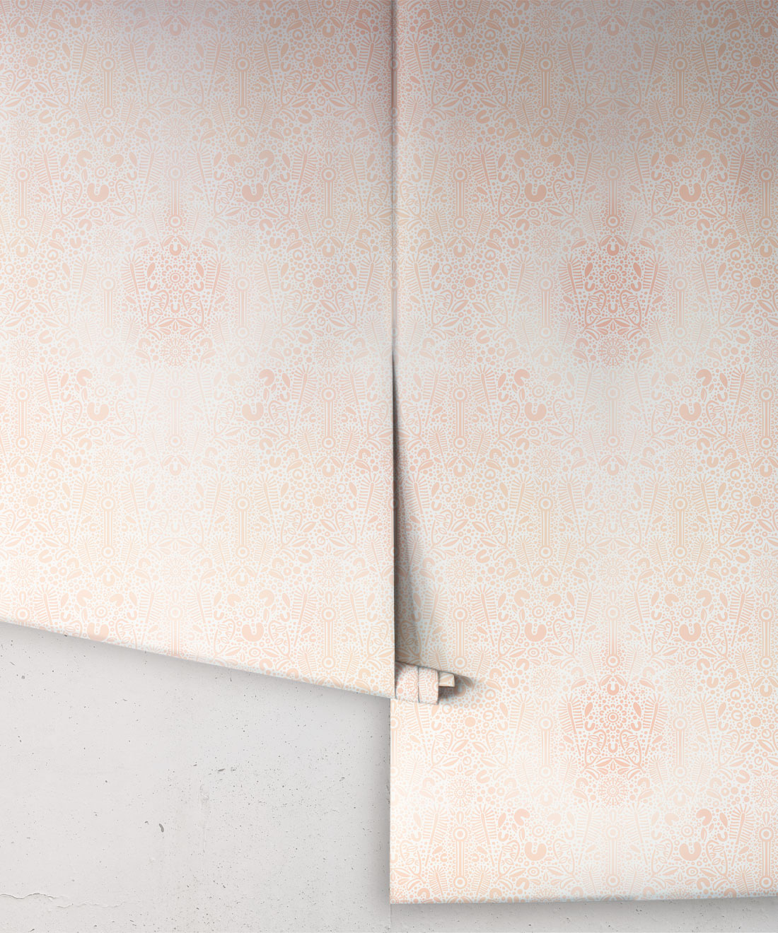 Banksia Bloom Wallpaper, Original