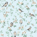 Borastapeter Birds - Blue 7681