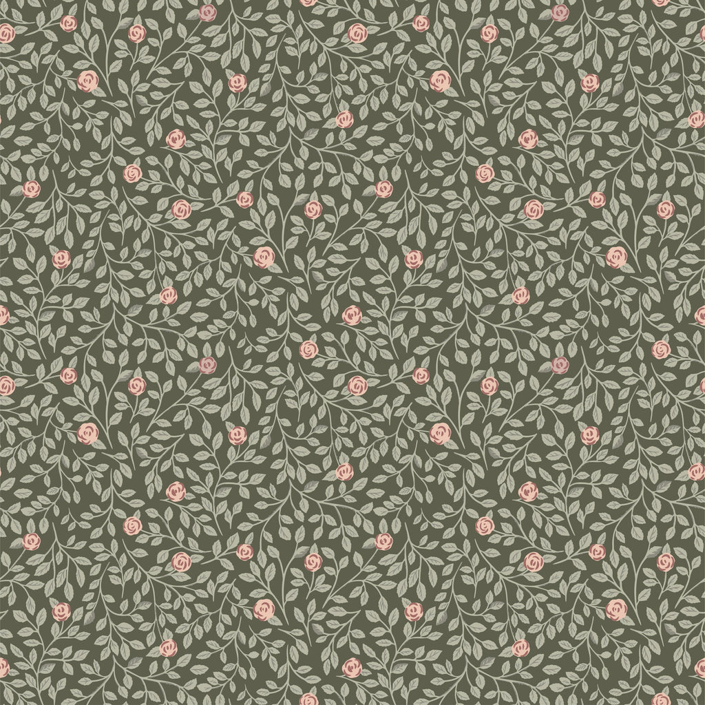 Climbing Rose - Green
