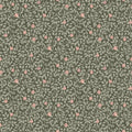 Climbing Rose - Green (Outlet)