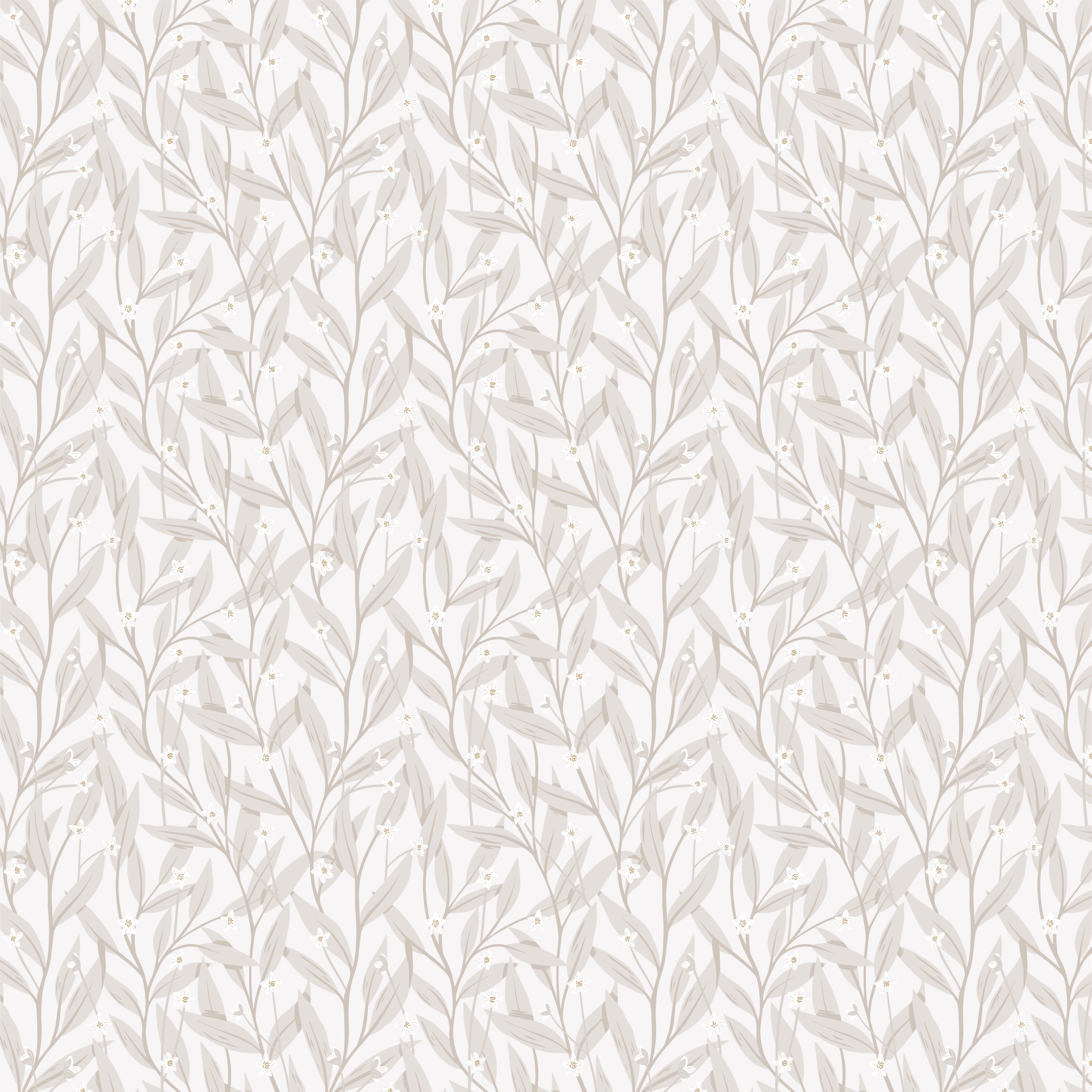 Anemone - White