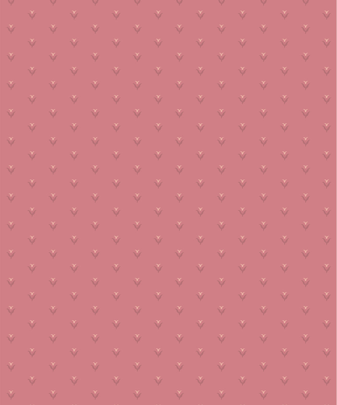 Nana’s Kitchen Wallpaper, Magenta