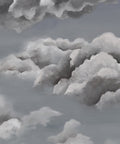 Heavenly Wallpaper, Storm