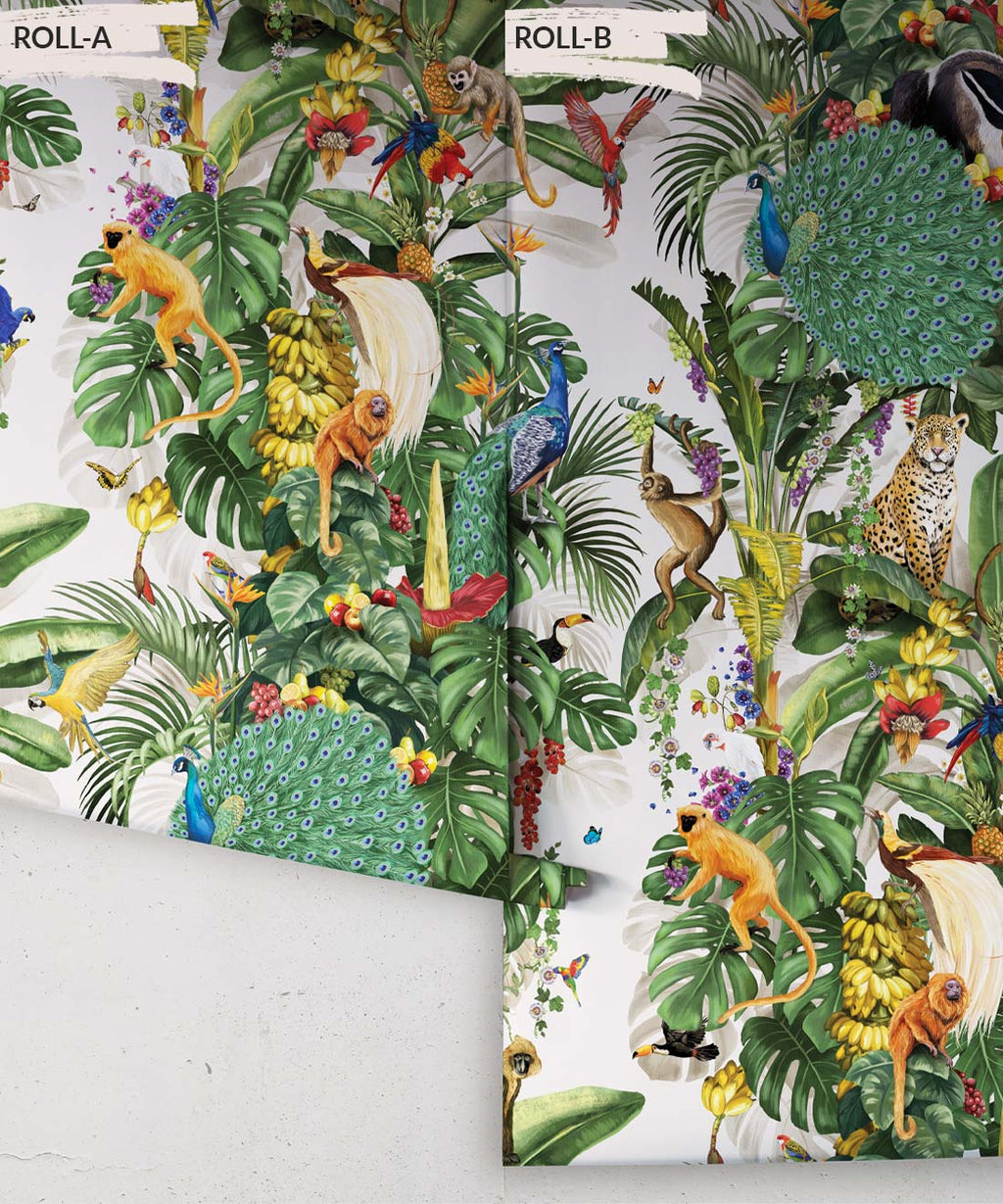 Festa Wallpaper, Canvas