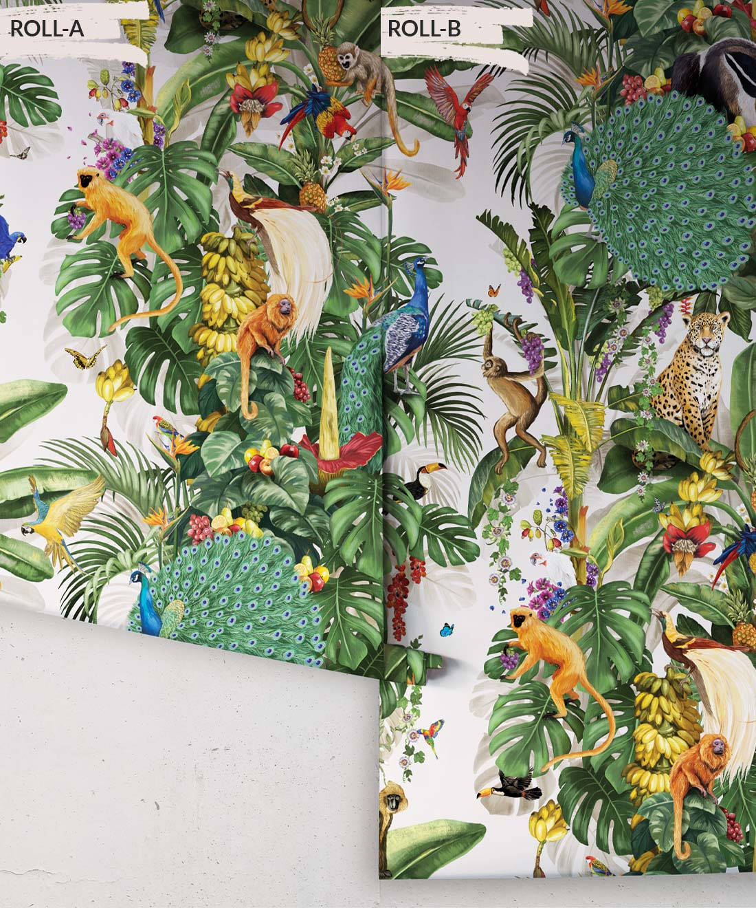 Festa Wallpaper, Canvas