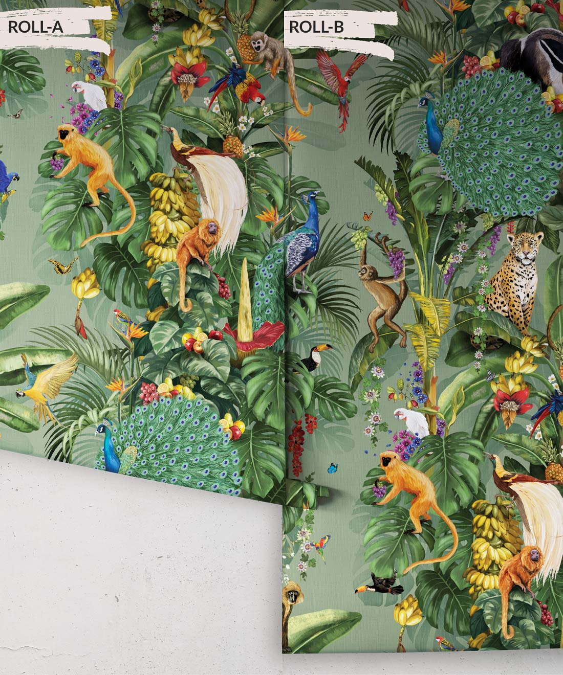 Festa Wallpaper, Sprout