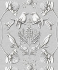 Australis Wallpaper, Bondi