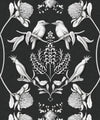 Australis Wallpaper, Night
