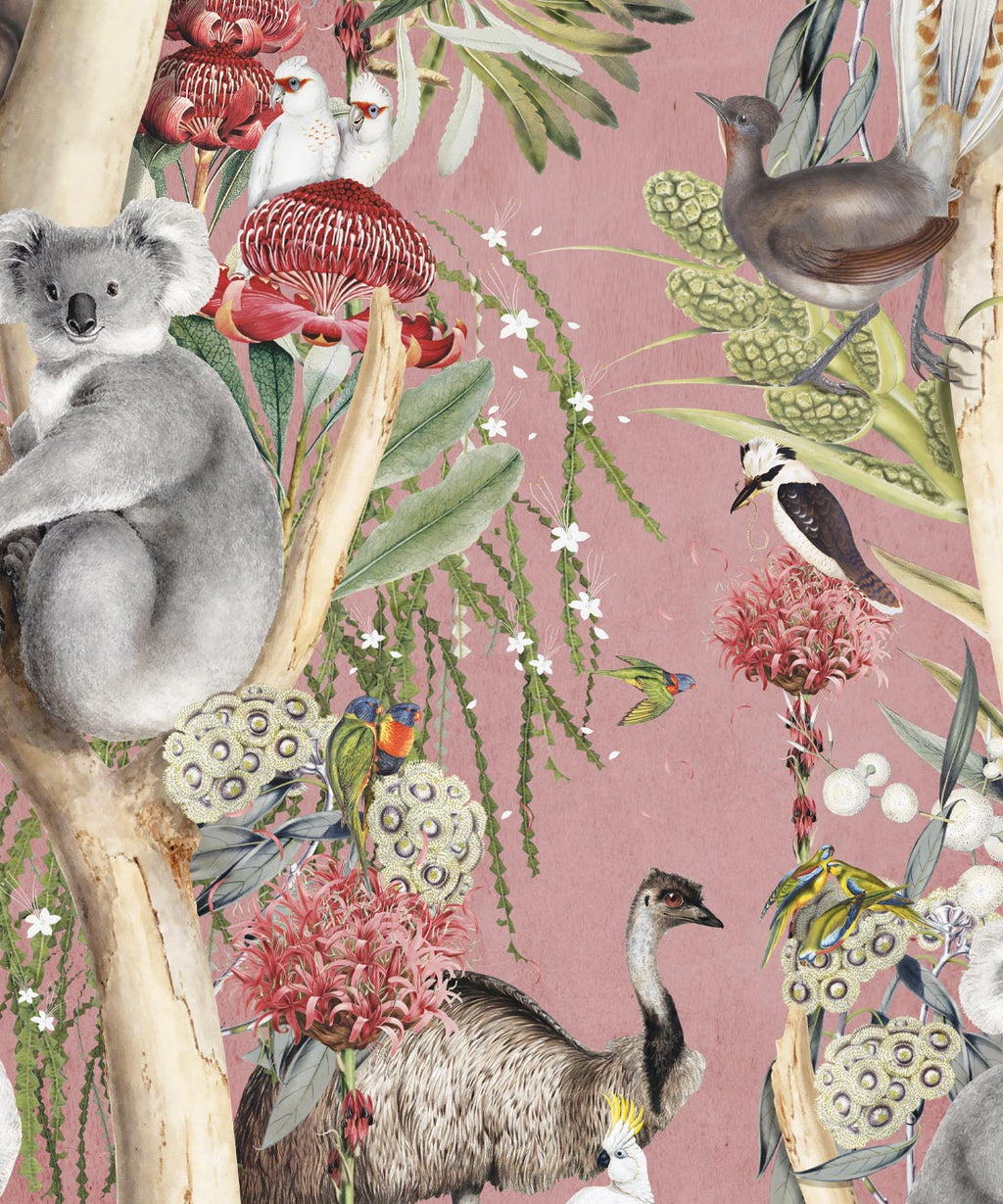 Dreamtime Wallpaper, Coral