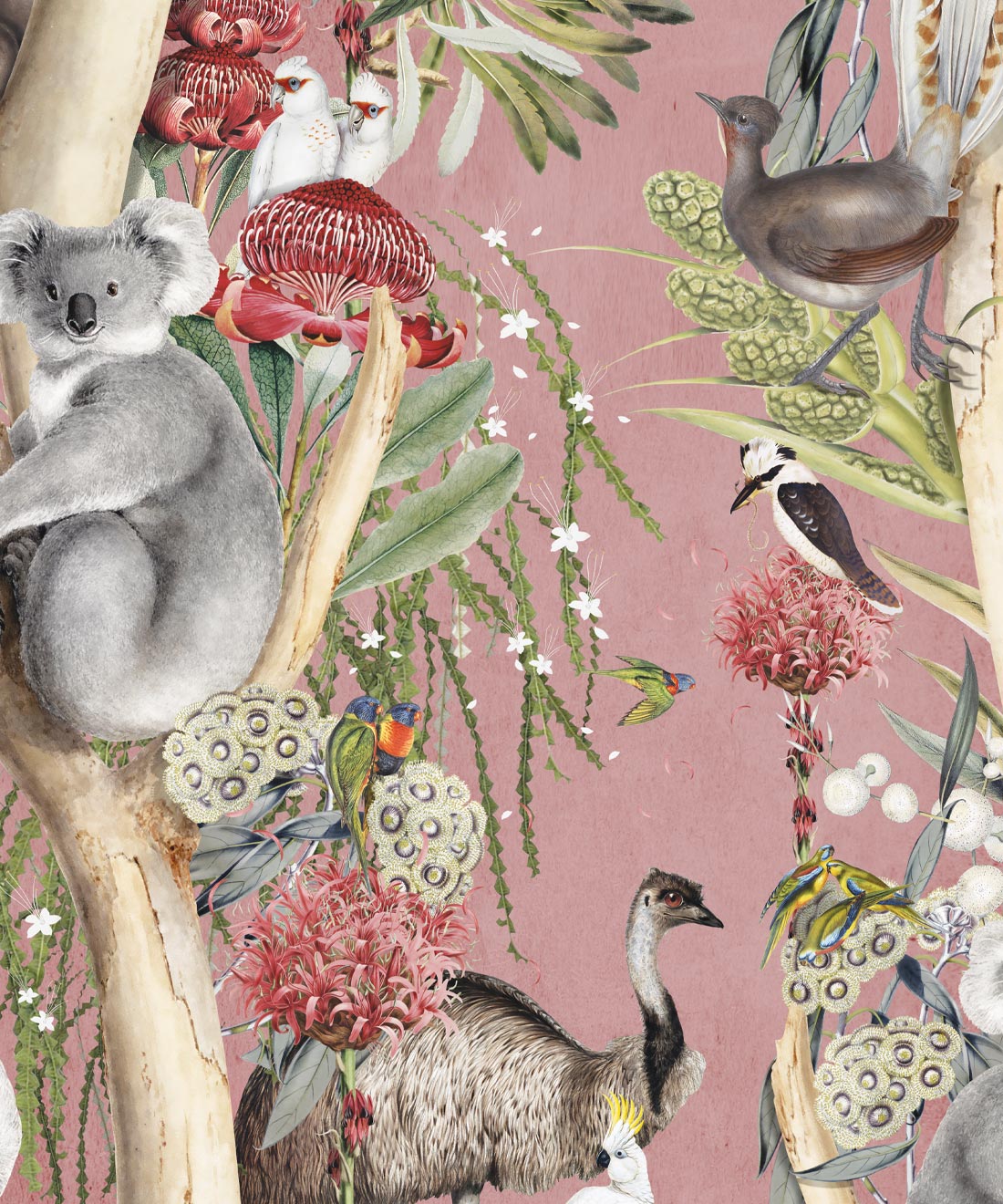 Dreamtime Wallpaper, Coral