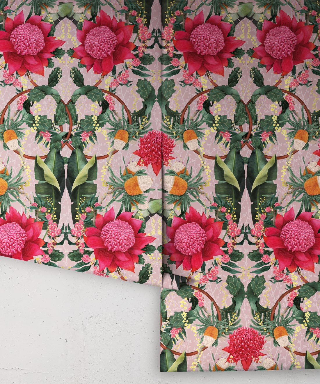 Waratah Medley Wallpaper, Coral