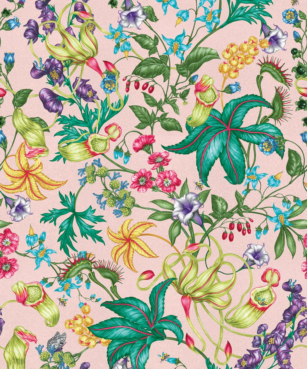 Alnwick Wallpaper, Coral Blush