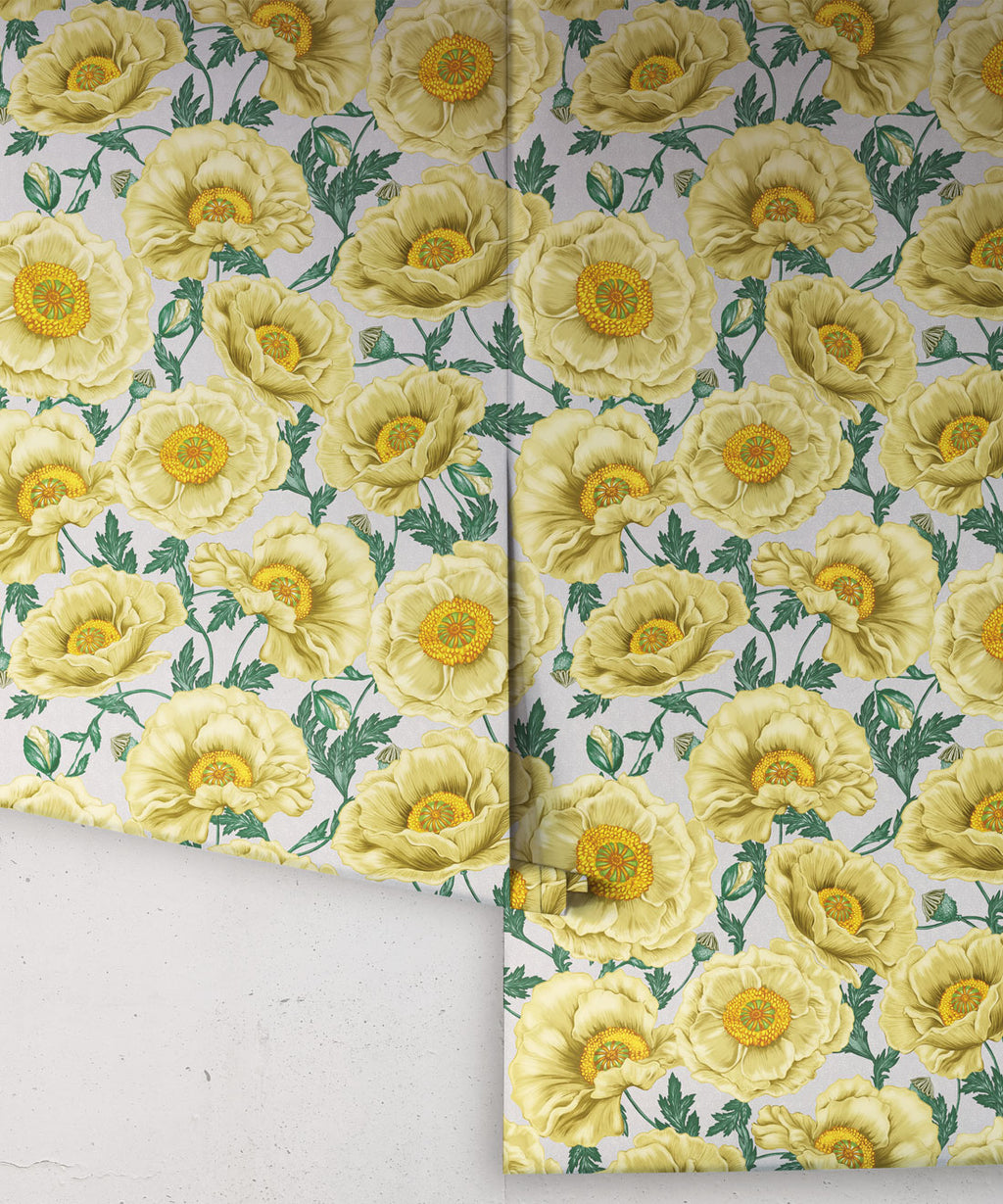Papaver Wallpaper, Amberlight