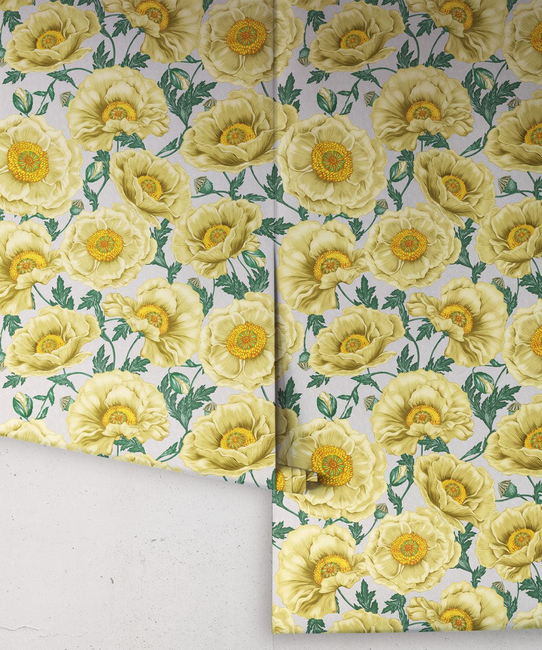 Papaver Wallpaper, Amberlight