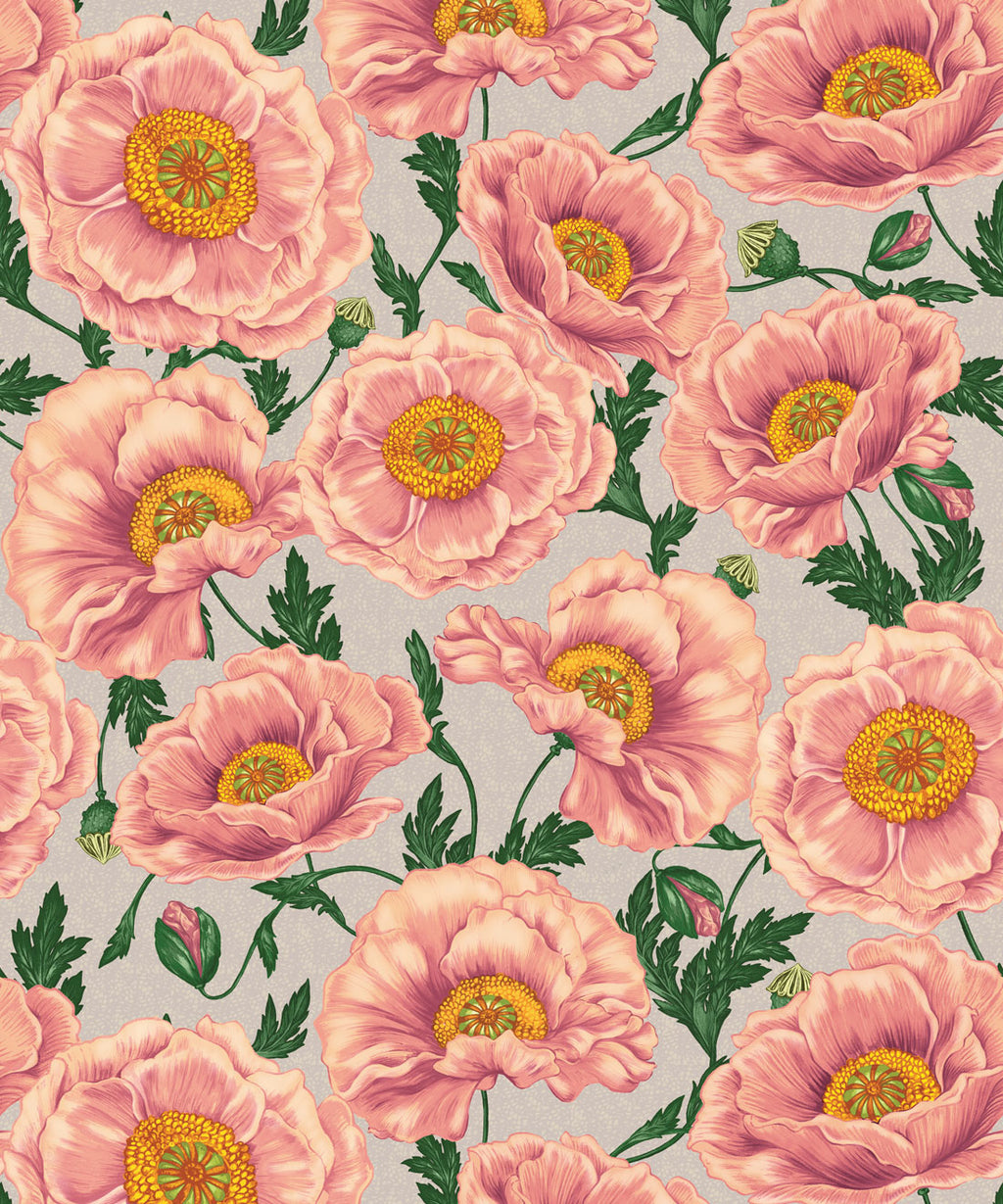 Papaver Wallpaper, Heirloom Petal