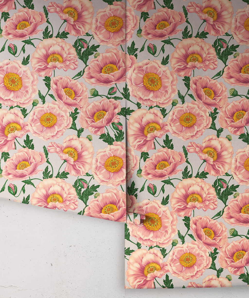Papaver Wallpaper, Heirloom Petal