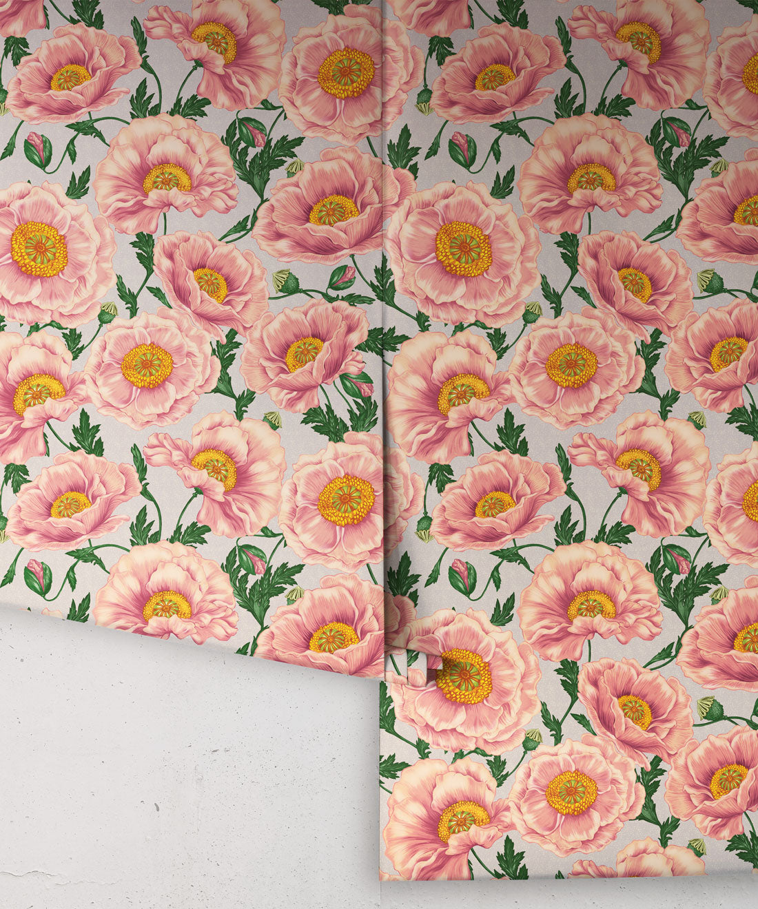 Papaver Wallpaper, Heirloom Petal