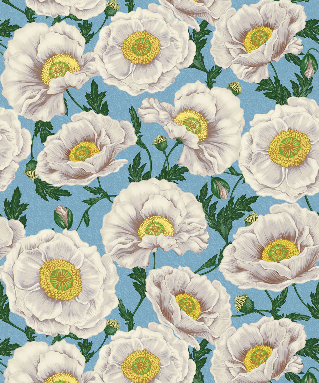 Papaver Wallpaper, Pale Horizon