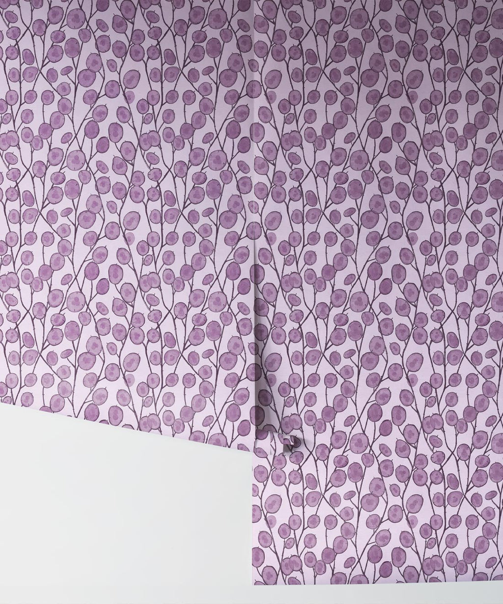 Lunaria Wallpaper, Violet