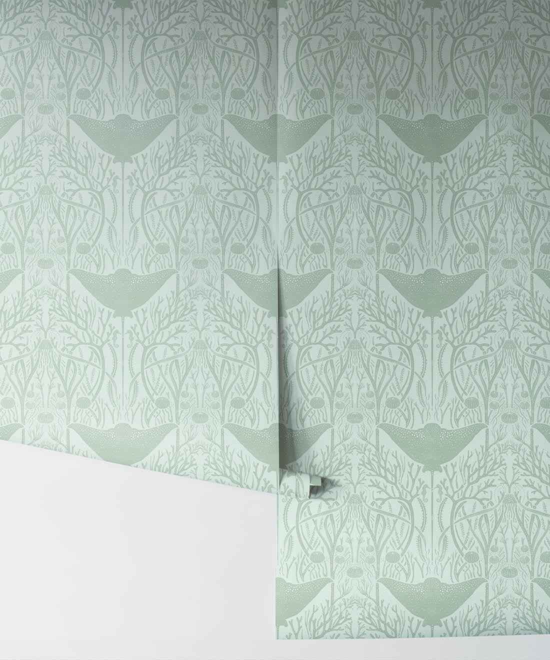 Manta Ray Wallpaper, Mint