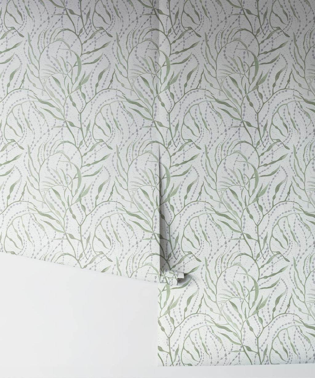 Neptune’s Necklace Wallpaper, Light Green