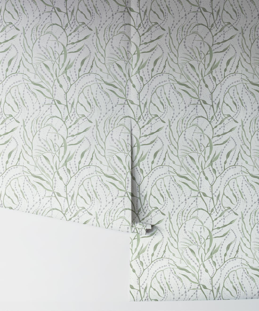Neptune’s Necklace Wallpaper, Light Green