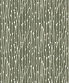 Pussy Willow Wallpaper, Evergreen