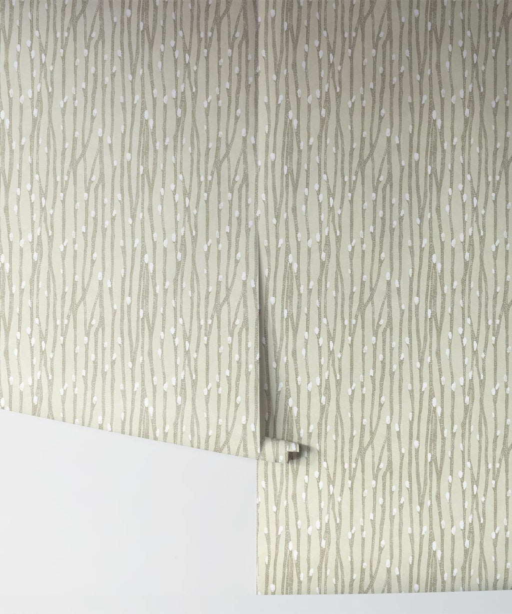 Pussy Willow Wallpaper, Sage