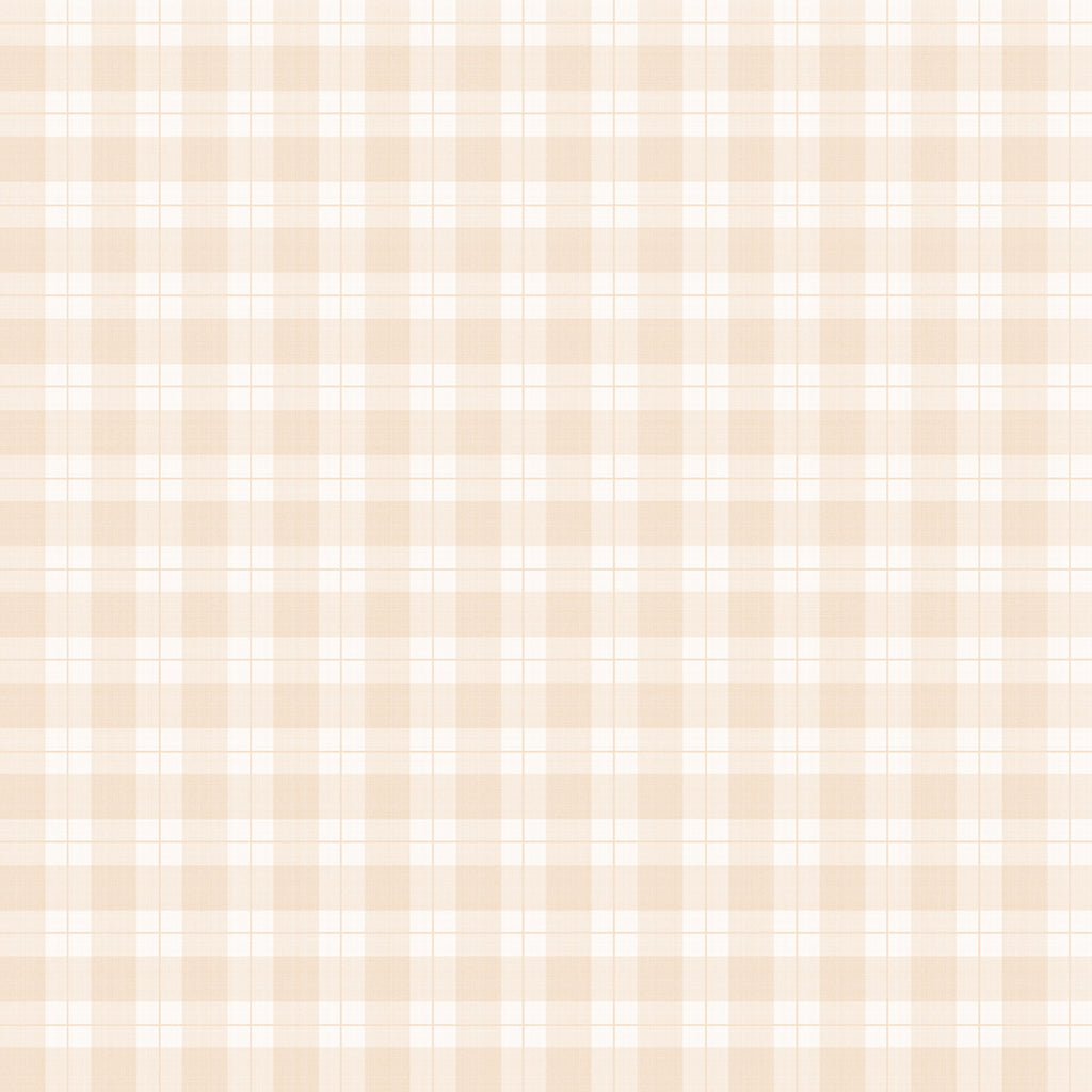 Ruter - Apricot