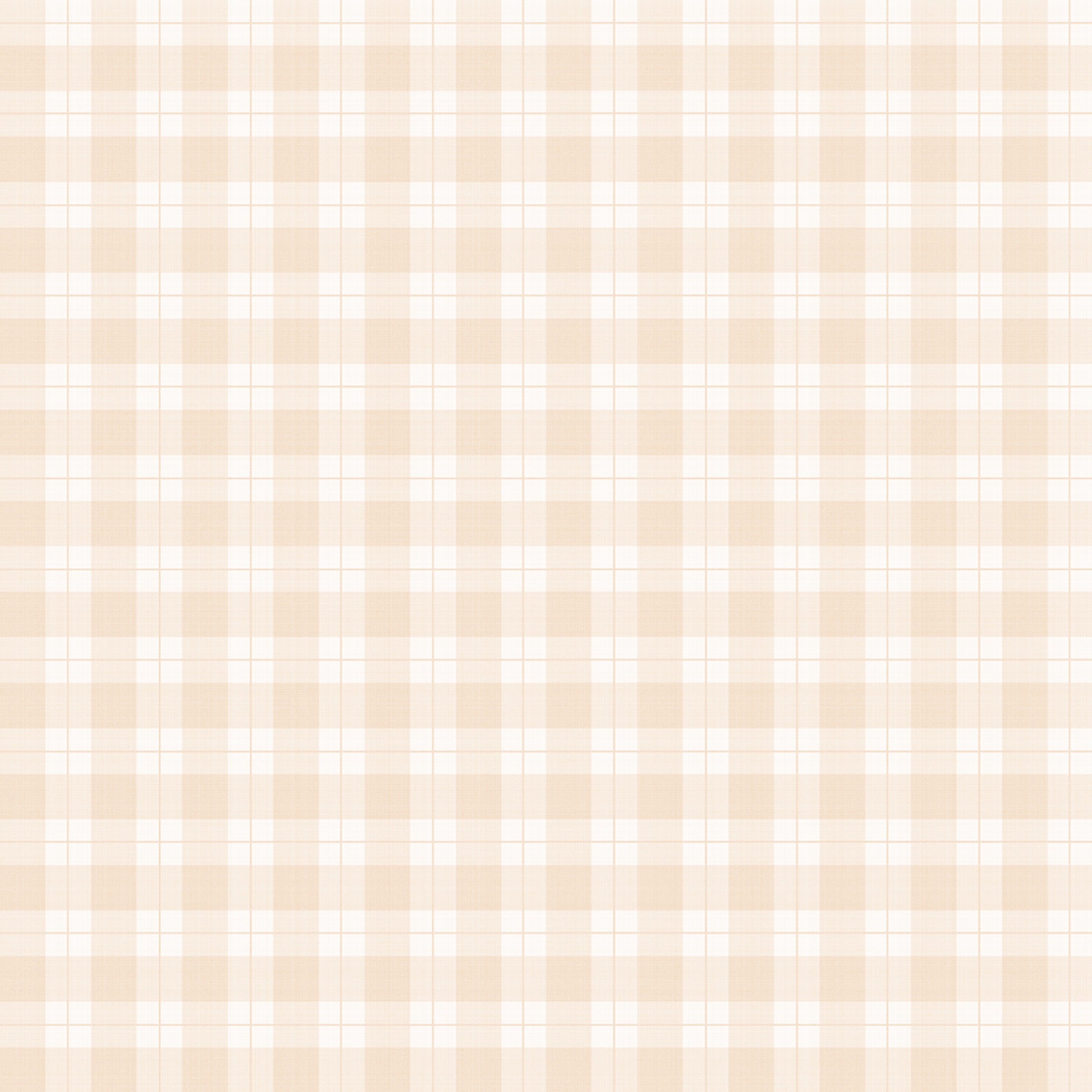 Ruter - Apricot