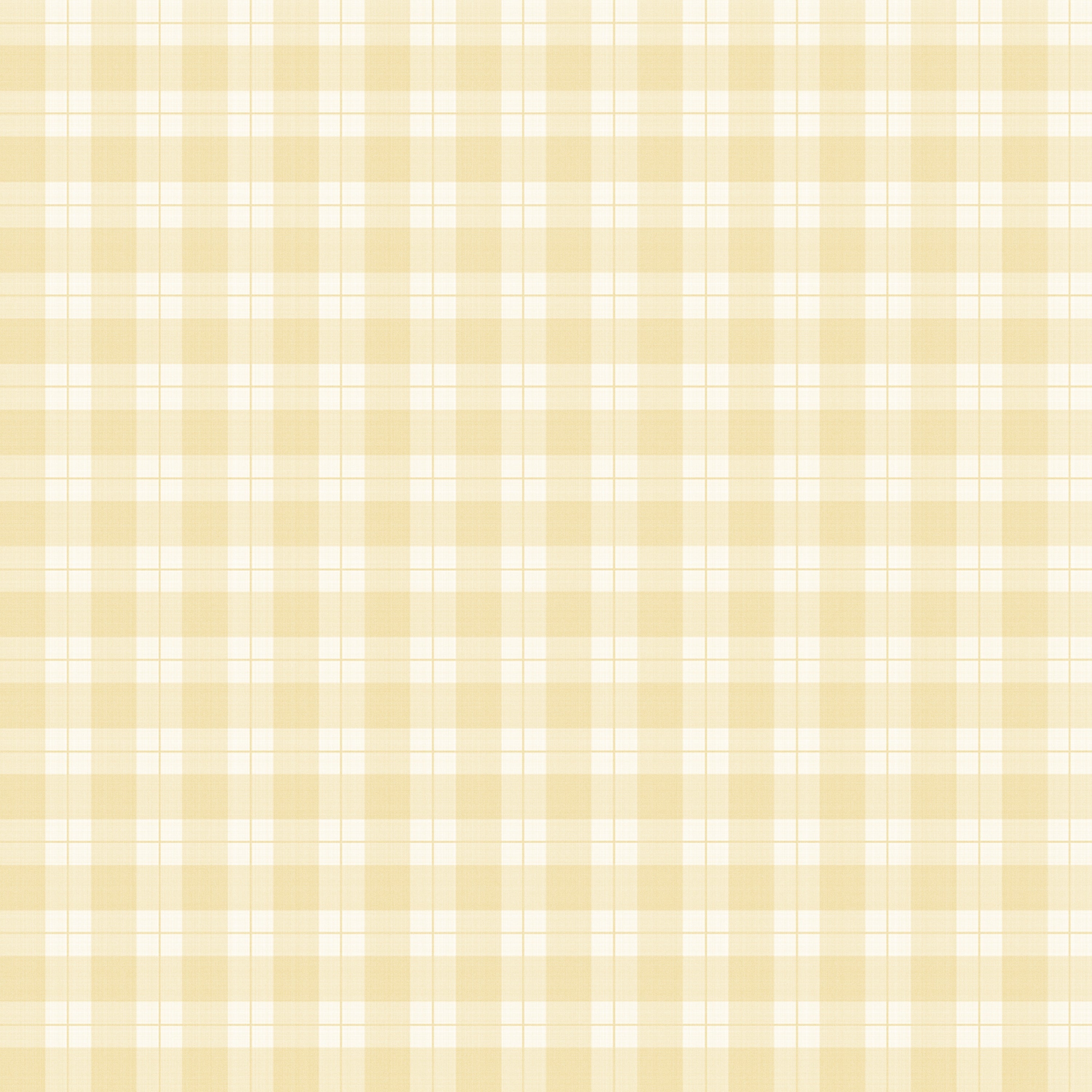Ruter - Yellow