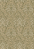 Kryddhyllan 4183 - Olive Green