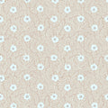 Kicki - Apricot