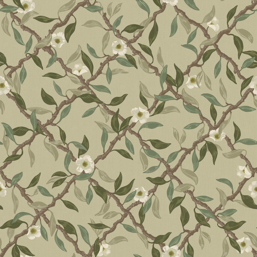 Espalier - Sage Green