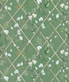 Petite Climbing Sweet Pea Wallpaper, Dark Green & Cane