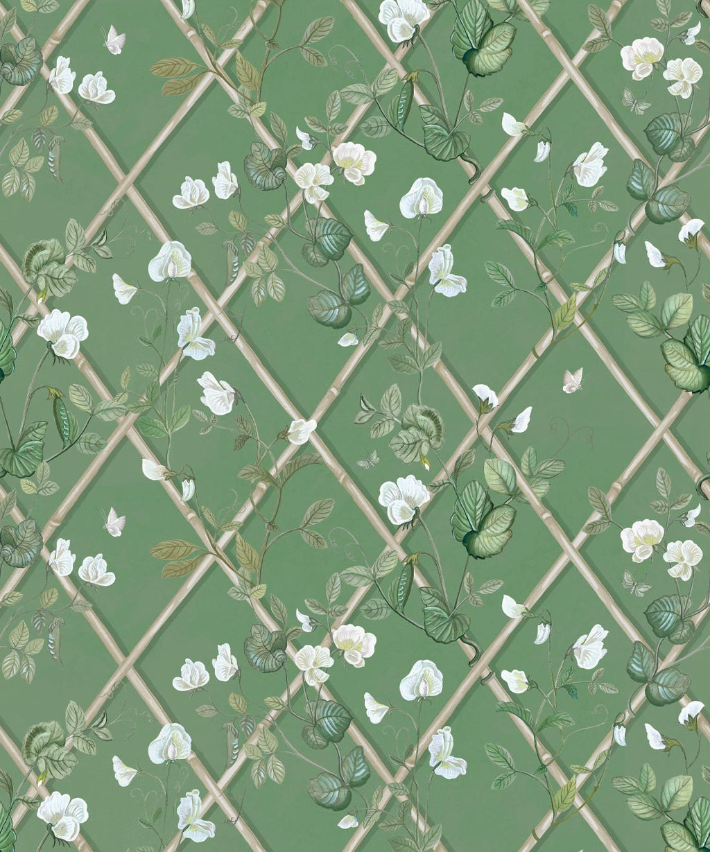 Petite Climbing Sweet Pea Wallpaper, Dark Green & Cane
